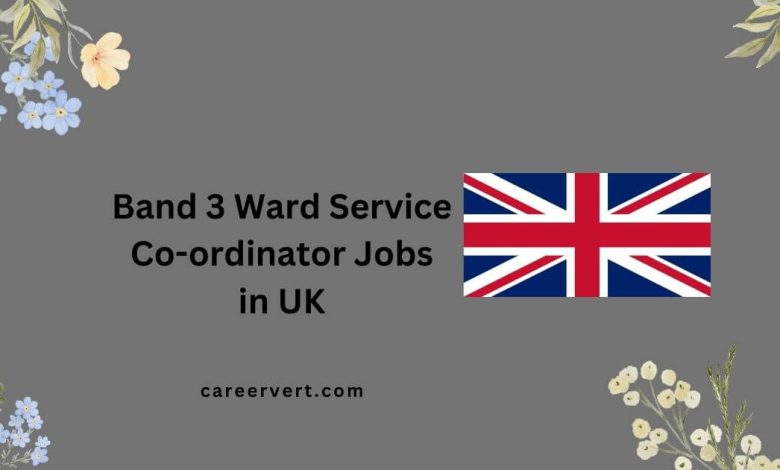 Band 3 Ward Service Co-ordinator Jobs in UK