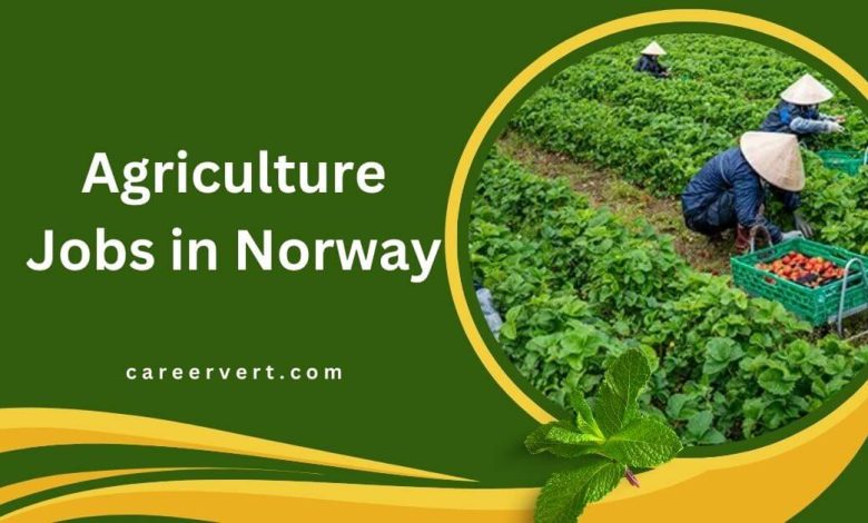 Agriculture Jobs in Norway