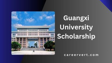 Guangxi University Scholarship