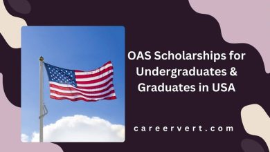 OAS Scholarships for Undergraduates & Graduates in USA