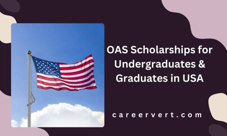 OAS Scholarships for Undergraduates & Graduates in USA