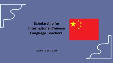 Scholarship for International Chinese Language Teachers