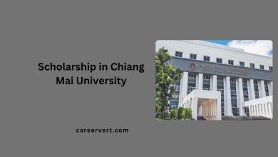 Scholarship in Chiang Mai University
