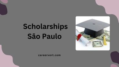 Scholarships São Paulo