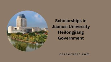 Scholarships in Jiamusi University Heilongjiang Government 2024