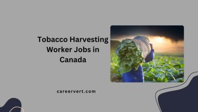 Tobacco Harvesting Worker Jobs in Canada