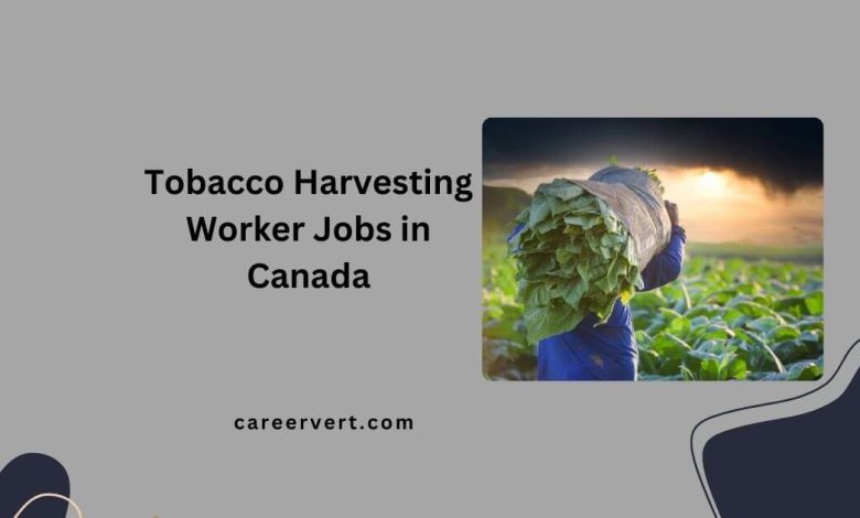 Tobacco Harvesting Worker Jobs in Canada