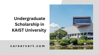 Undergraduate Scholarship in KAIST University