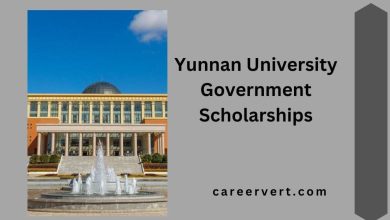 Yunnan University Government Scholarships