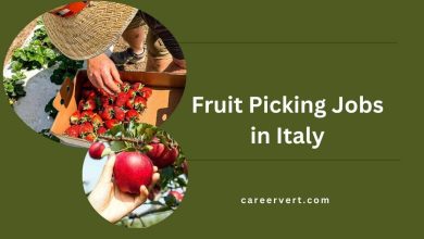 Fruit Picking Jobs in Italy