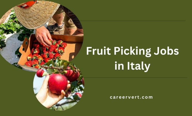 Fruit Picking Jobs in Italy