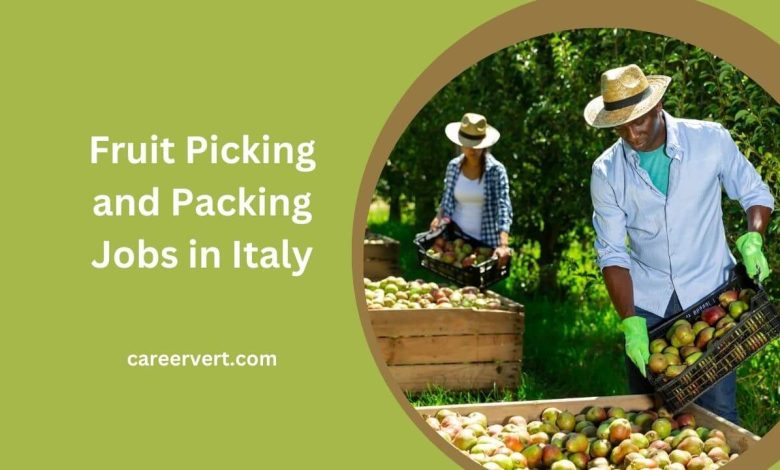 Fruit Picking and Packing Jobs in Italy