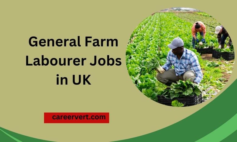 General Farm Labourer Jobs in UK