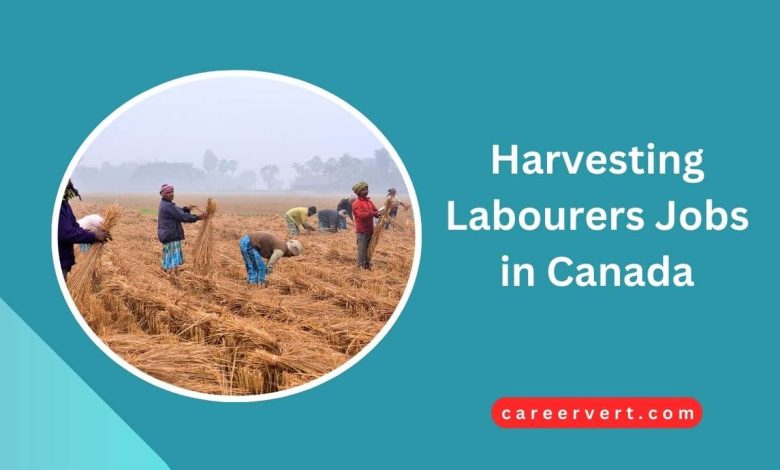 Harvesting Labourers Jobs in Canada