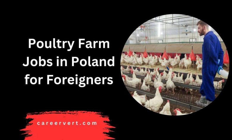 Poultry Farm Jobs in Poland for Foreigners