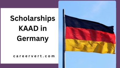 Scholarships KAAD in Germany