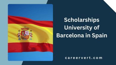 Scholarships University of Barcelona in Spain