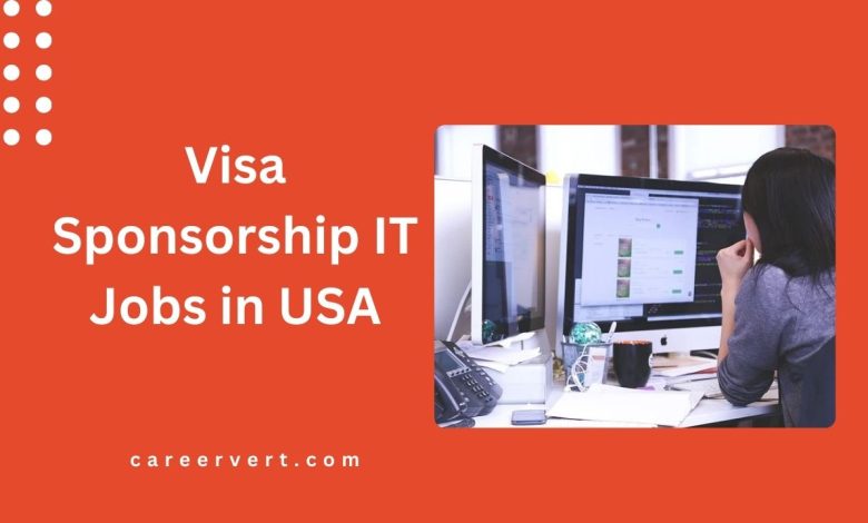 Visa Sponsorship IT Jobs in USA