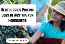 Blueberries Picking Jobs in Austria for Foreigners