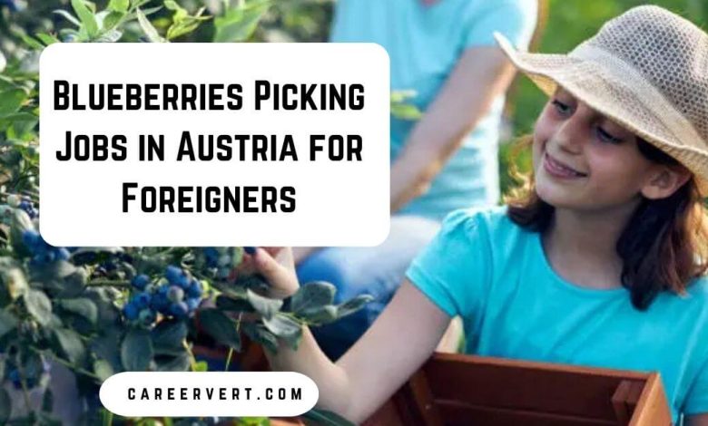 Blueberries Picking Jobs in Austria for Foreigners