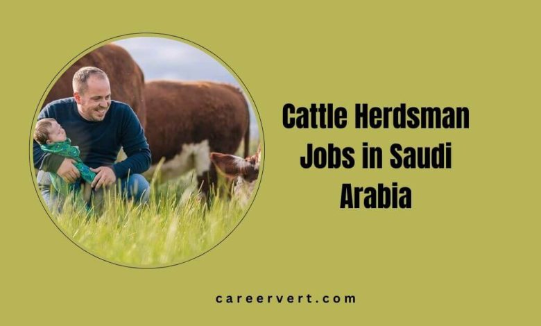 Cattle Herdsman Jobs in Saudi Arabia