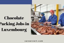 Chocolate Packing Jobs in Luxembourg