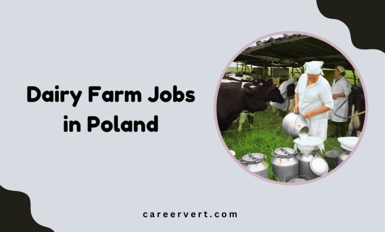 Dairy Farm Jobs in Poland