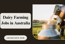 Dairy Farming Jobs in Australia