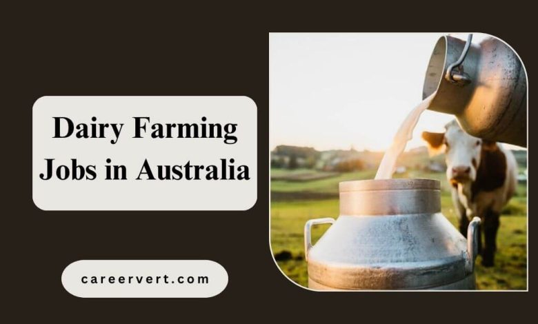 Dairy Farming Jobs in Australia