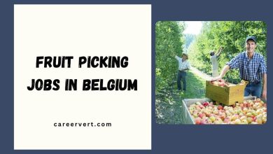 Fruit Picking Jobs in Belgium