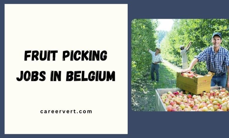 Fruit Picking Jobs in Belgium