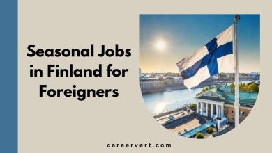 Seasonal Jobs in Finland for Foreigners