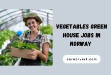 Vegetables Green House Jobs in Norway