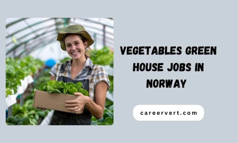 Vegetables Green House Jobs in Norway