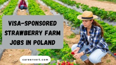 Visa-Sponsored Strawberry Farm Jobs in Poland