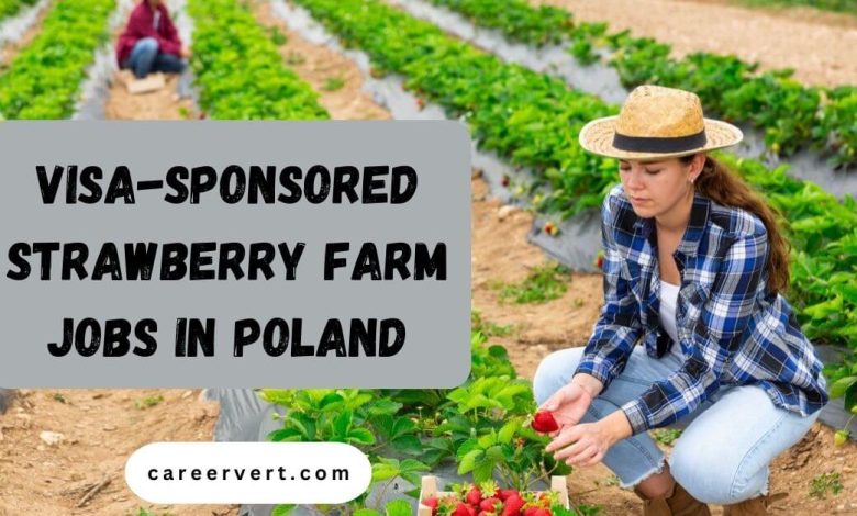 Visa-Sponsored Strawberry Farm Jobs in Poland