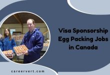 Visa Sponsorship Egg Packing Jobs in Canada