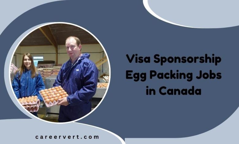 Visa Sponsorship Egg Packing Jobs in Canada