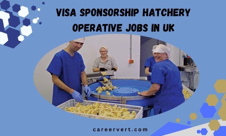 Visa Sponsorship Hatchery Operative Jobs in UK