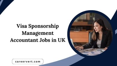 Visa Sponsorship Management Accountant Jobs in UK