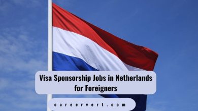 Visa Sponsorship Jobs in Netherlands for Foreigners