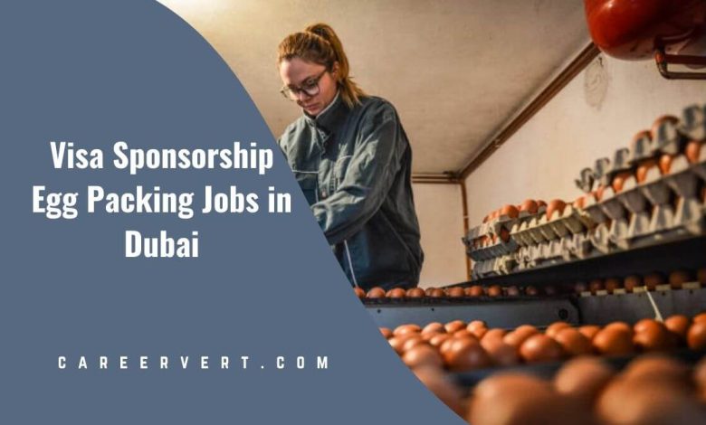 Visa Sponsorship Egg Packing Jobs in Dubai