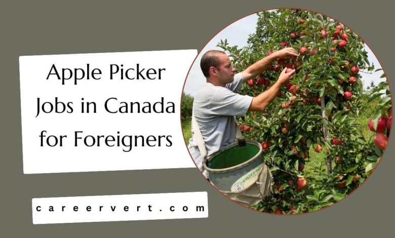 Apple Picker Jobs in Canada for Foreigners