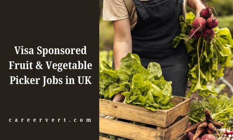 Visa Sponsored Fruit & Vegetable Picker Jobs in UK
